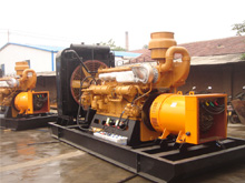 泰州发电机组的频率规格是如何确定的？